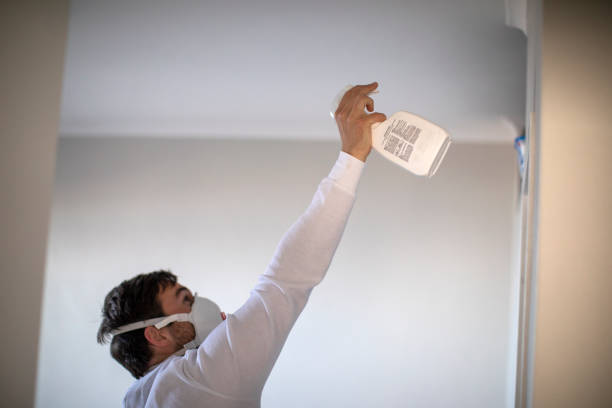 Best Residential Mold Remediation in Troy, MO