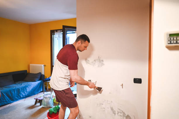 Best Mold Remediation for Schools in Troy, MO
